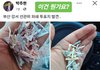 아니 투표용지