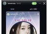 핱시 ㄱㅈㅁ 솔로지옥 저격