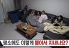 리센느 이사님: 얘넨 무슨 러브 버그도 아니고