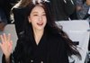20026년 가을 파리 수지 또 찢으셨다