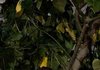 제일 예쁜 4~5세대 유나(윤아)를 골라