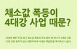 채소값 폭등이 4대강 때문???