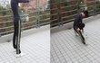 [정보]리복xx 후기 ! 유쾌 상쾌 통쾌~남산에서의 조깅 ! 