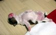 이거슨 4일된 강아지가 아님~ㅋㅋ