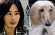 이필립 처럼 생긴개..ㅎㅎ