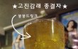 연말 연시 망년회에 파란을 일으킬 벌주종결자, 안주종결자.