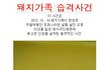 돼지가족 살인하고 돈벌게된사연