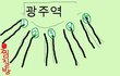 21살女, 4박 5일 나홀로 솔로여행 (내일로 후기)- 3일째-part1