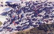 세계 최고 교통지체