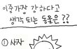 ★★★★★★봄둥이와 찐빵은 보아라!!★★★★★★