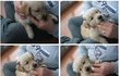 철없는 남편, 공주병 아내 그리고 아들 #3