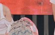 예의 있어 보이는 폴더인사의 아이돌들