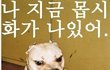 (남자인증有) 남자인게 죄스럽다 정말