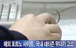 여러 분야들의 甲