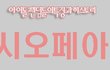 ●아이돌팬덤들의특징과히스토리●특집(캉편)02