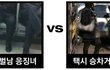 지하철 쩍벌남 응징녀 vs 택시 승차거부 응징녀