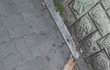 길고양이는 당신들의 장난감이 아닙니다.(사진有)