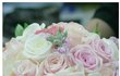 부케좀 골라주세요~~