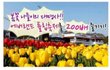 봄꽃 페스티발이 가득한 곳에서 봄을 느껴요