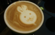 귀요미 토끼남 사진有☆★☆★☆★☆★