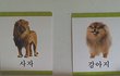 똑같이 그린 그림인데... 너무나 다른...