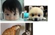 ☆★☆★볼수록비슷한☆★☆★
