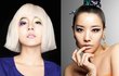 최초공개★파격 변신 스타화보!!! 비비드 변신 유진,호란,소유진,달샤벳 