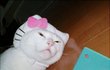 인증샷이에요 :]