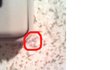 ★당신의 집 현관문 옆은 안전한가요??????★