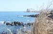 제주도 여행기 - 공항앞바다, 절물휴양림...