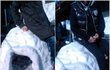 ★내아빠는 귀여운 완찌남★1탄!