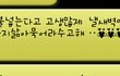 쏠로 8년째 아들은 안중에도 없으신 우리 부모님(31번째 결혼기념일을 축하하며)