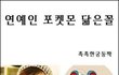 포켓몬스터 닮은연예인