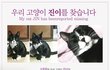 저희집 고양이를 찾아주세여 ㅜㅜ