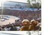 한양대 축제에 소시보러간 "소들"