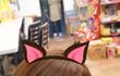 귀얇은 내친구 미용실갔다 봉변당한 사건(사진有)