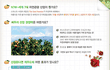 ★★★제발 한번만 보고가★★★세계 7대 자연경관 제주 투표!!!