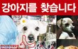 ★유기견이 또 다시 유기견이 되지않게 도와주세요★