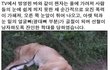 SBS TV동물농장 황구 꼭 봐주세요!!!!! (심장 약하신 분은 클릭 ㄴㄴ)