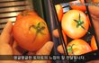화질의 종결자! 갤럭시S2의 놀라운 슈퍼아몰레드!