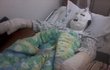 [펌][수정]★한번만 읽어주세요 수소풍선폭탄피해★