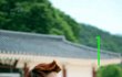 ● 유 쾌 한 흔 남 들 외 모 대 결 ●  (사진 有) 1탄)