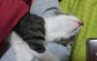 ★☞!사진대량有! 도둑고양이 아니거든여ㅡㅡ★