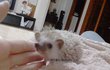 ♥[사진스압] 나도 내새끼자랑할래요!!♥