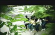 [펌] 지식채널e - 당신의 전성기