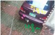 ☆(사진첨부) 매일매일 집 앞으로 찾아오는 길냥이 어떡하죠? ㅠㅠ