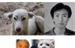 ★★★동물(등등)닮은꼴연예인★★★