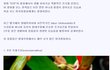 열대우림의 희귀 동물들[수정]