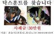 ★★사례금 30만원드립니다. 제발도와주세요ㅠㅠ★★