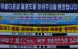 저는 울릉도에 살고 있습니다!